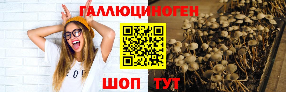 Галлюциногенные грибы Magic Shrooms Берёзовский